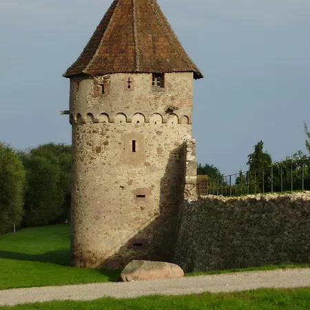 Gite La Maison Bleue Bergheim Exterior photo