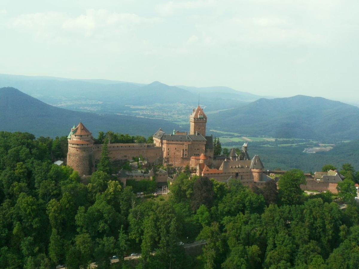 La Maison Bleue Holiday home Bergheim