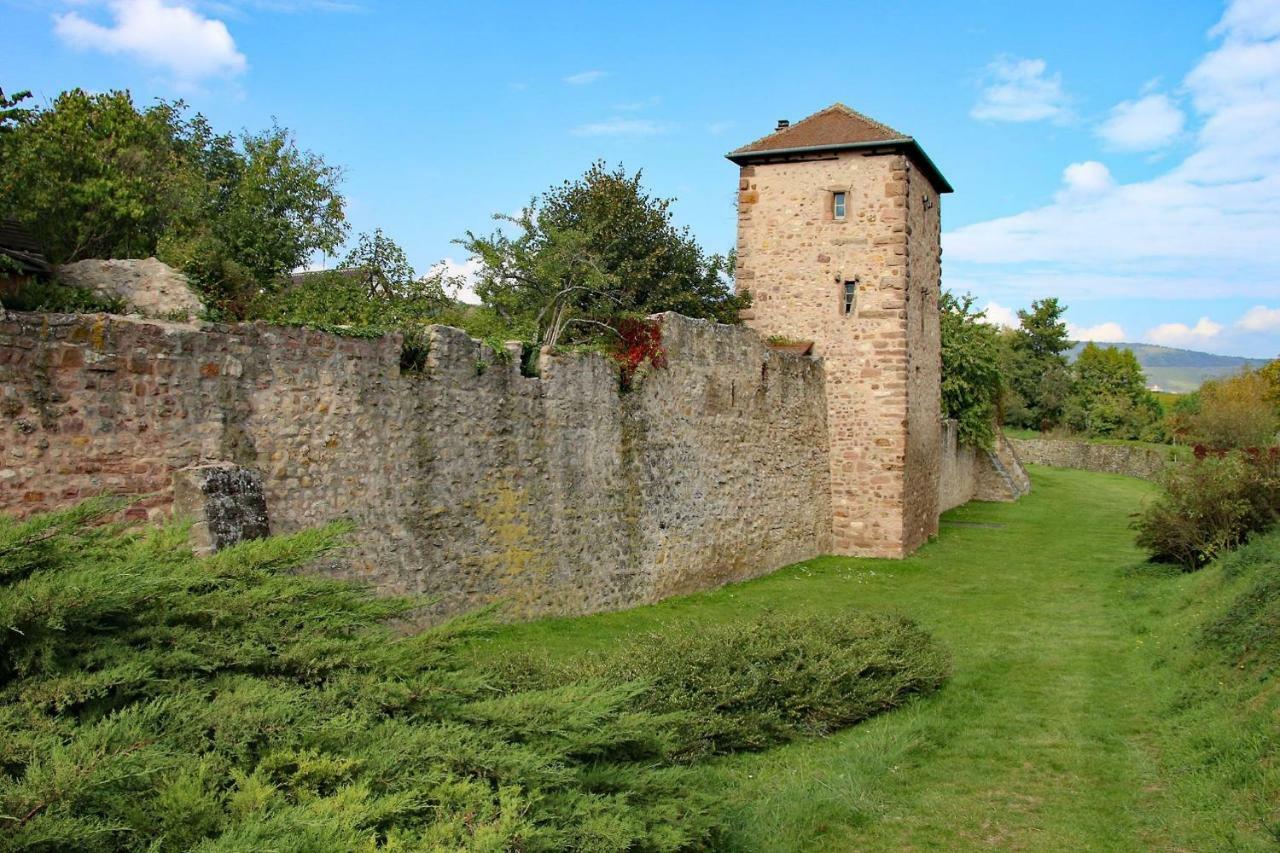 La Maison Bleue * Bergheim